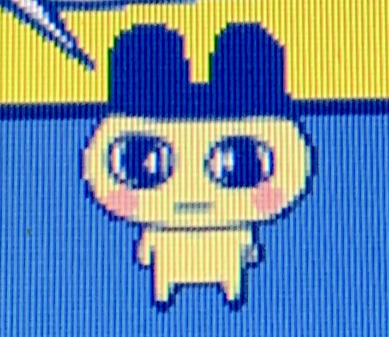 そだきんTVのプロフィール画像
